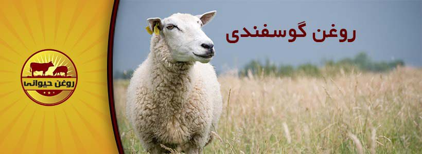 انواع روغن حیوانی گوسفندی